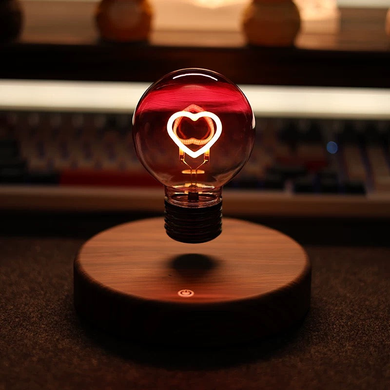 Original Wood Levitating Rainbow Bulb